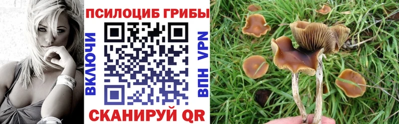 купить наркотик Оханск Галлюциногенные грибы ЛСД